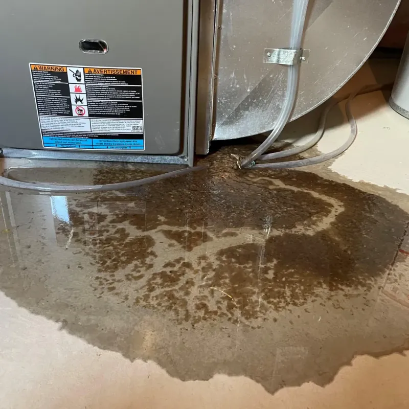 Appliance Leak Cleanup in Cuyahoga Falls, OH